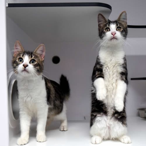 Sam & Dean SUK010401 & SUK010402