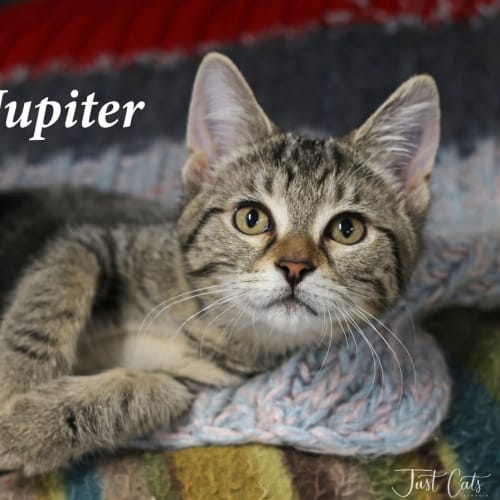 Jupiter