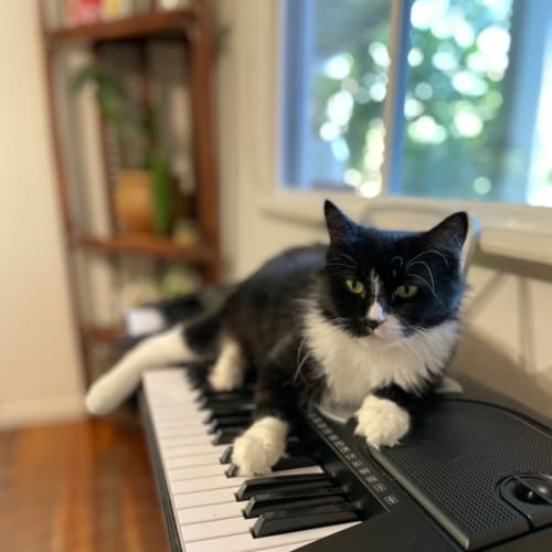 Audrey