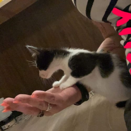 Itchy