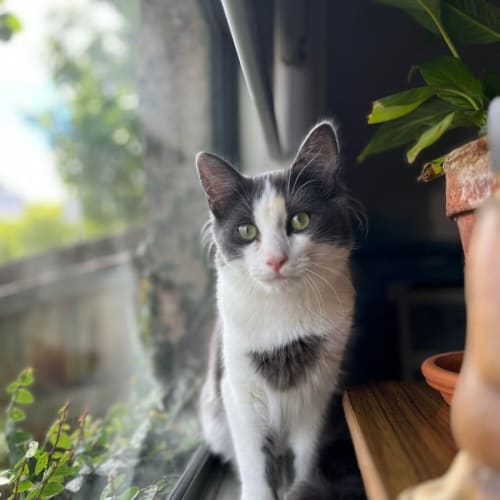 Nikki - Located in Clifton Hill