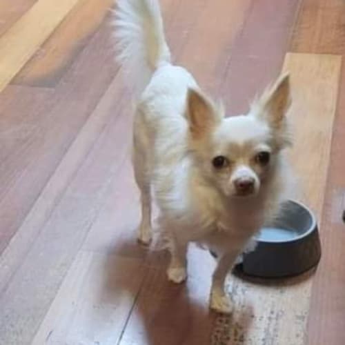 Winnie