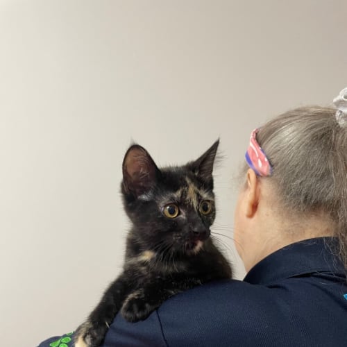 Luna