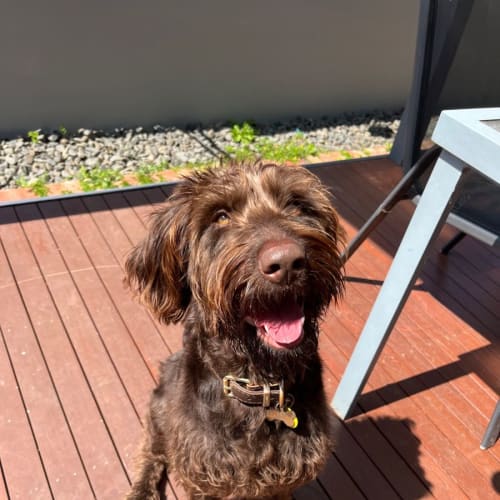 Winnie