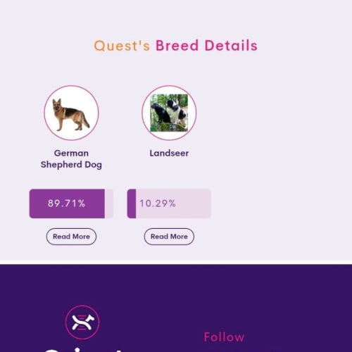 Quest