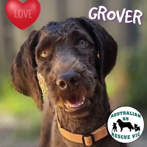 Grover 