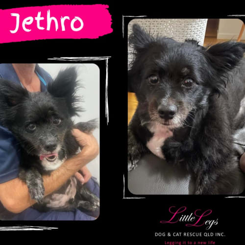 Jethro