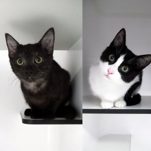 Christina & April STK010627 STK010628