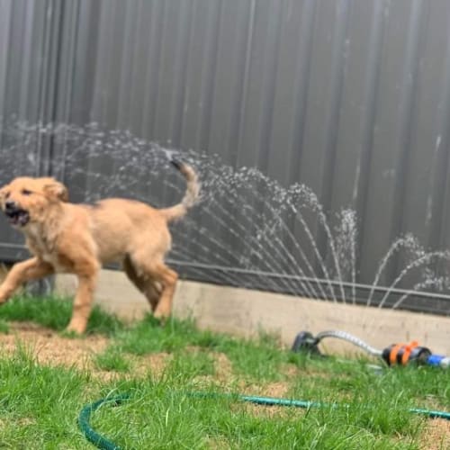 Milo