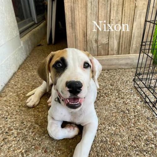 Nixon