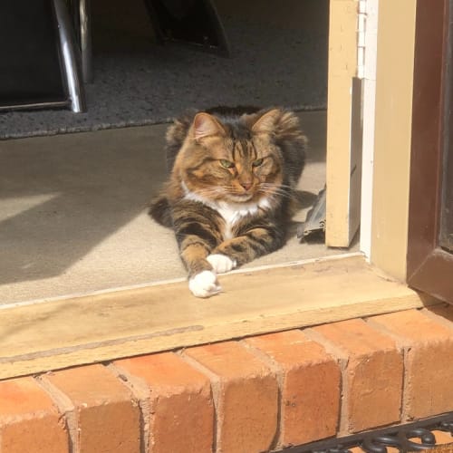 Leo
