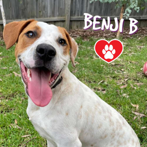 Benji B 