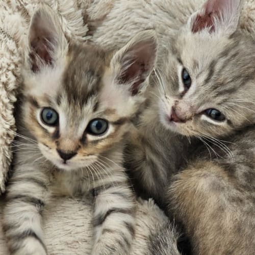 Little Ted and Wally