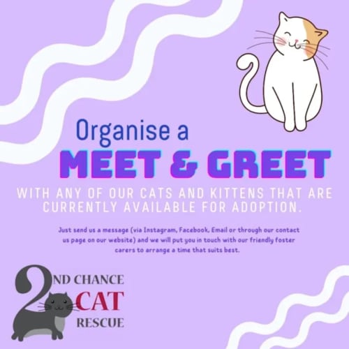 Walker **2nd Chance Cat Rescue**