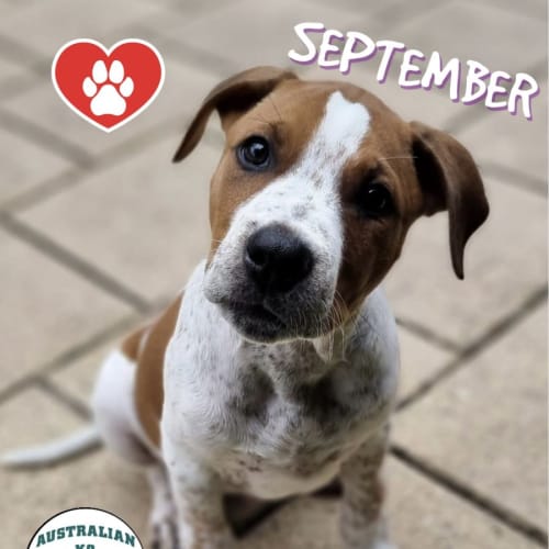 September 
