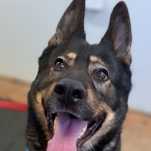Max