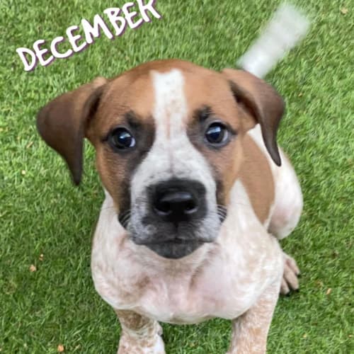 December 