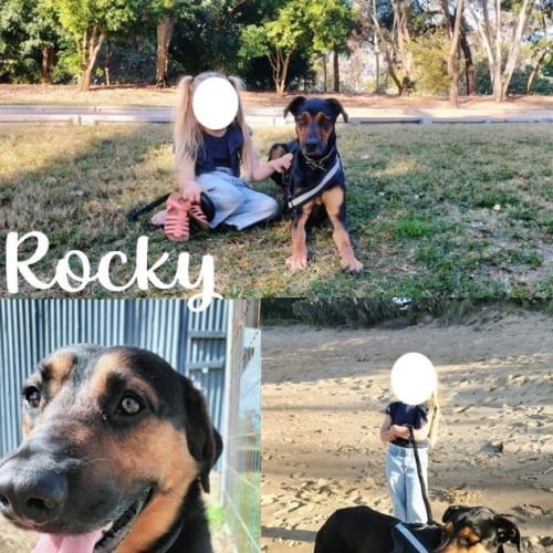 Rocky