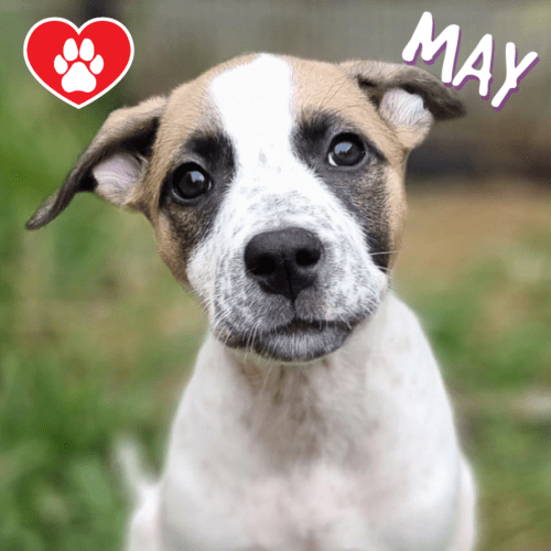 May 