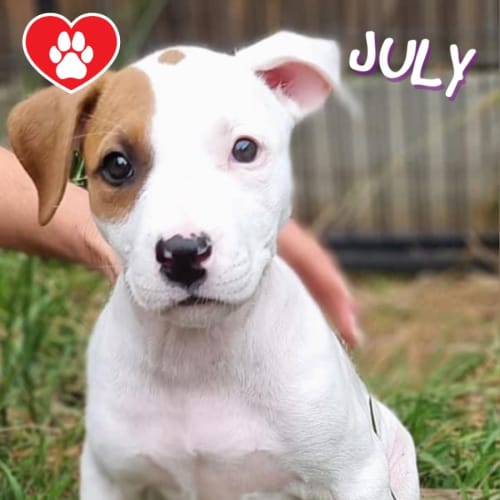 July 