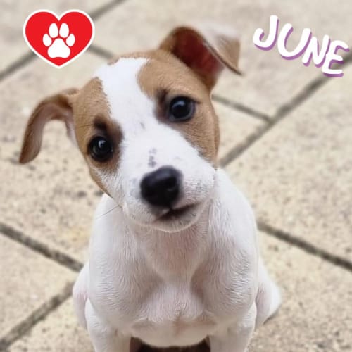 June 