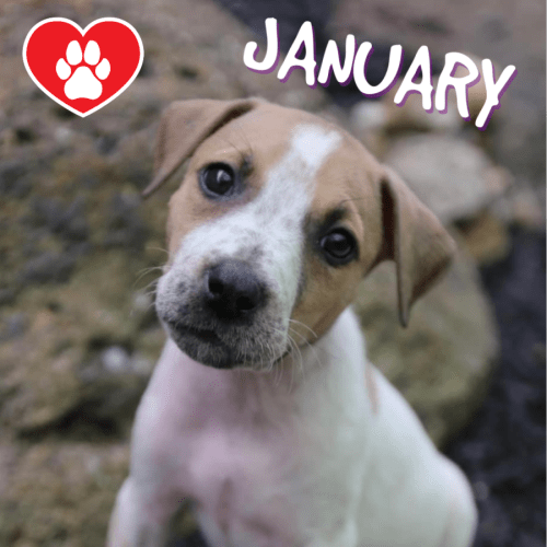 January 