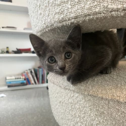 Magical Matilda 