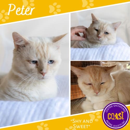 Peter
