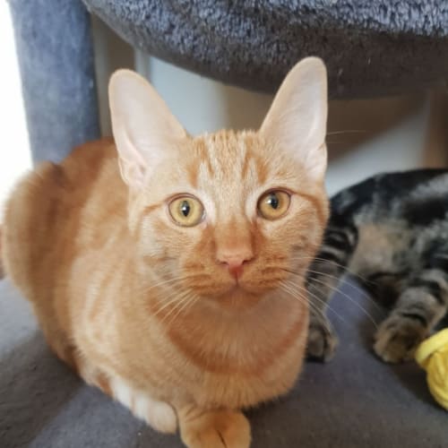 No photo for Siobhan (Chivon)