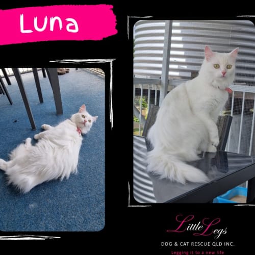 Luna
