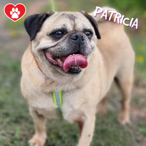 Patricia 