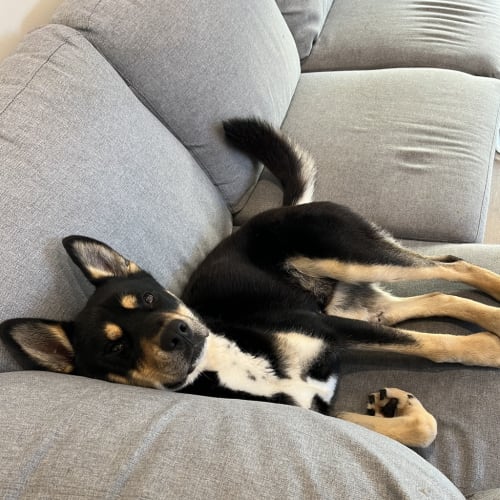 Kobe ( Was Emmett)
