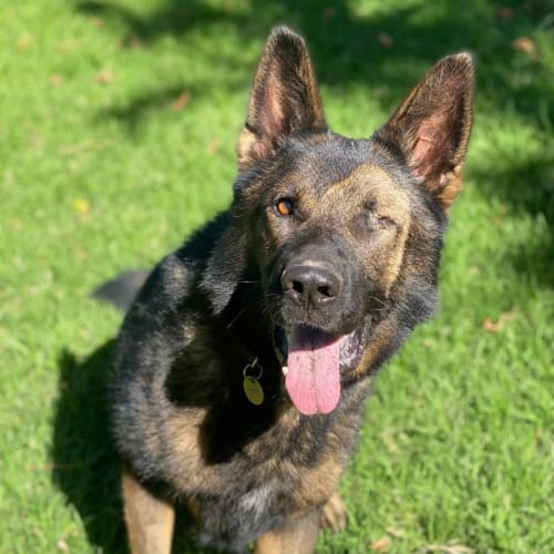 Max