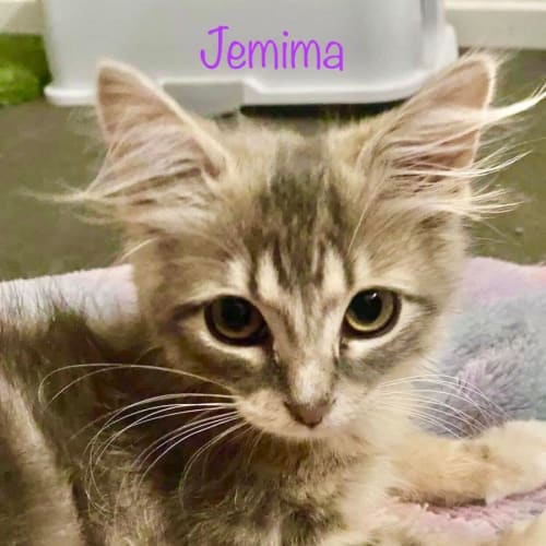 Jemima