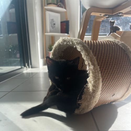 Hera
