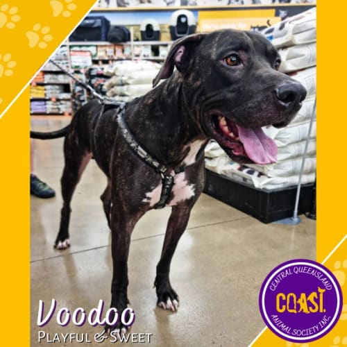 Voodoo