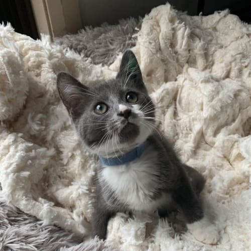 Carter 💙😽💙😽