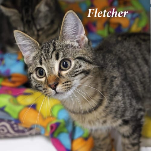Fletcher
