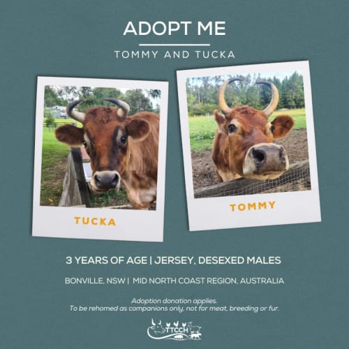 Tommy and Tucka