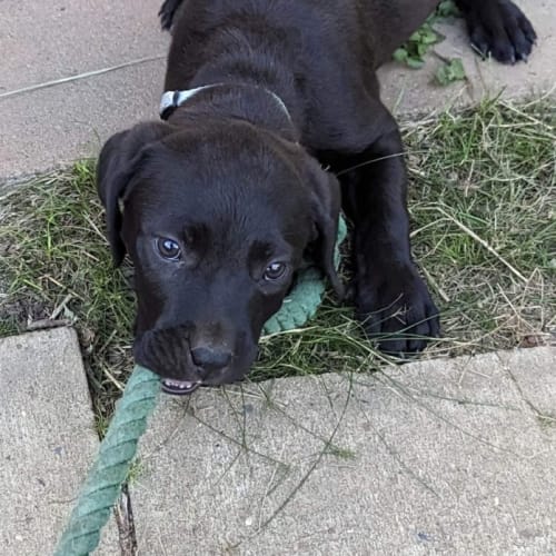 Winnie