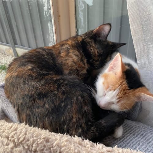 Bonnie & Delilah