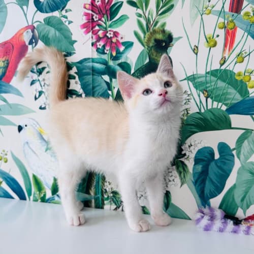 Finley - Located in Preston