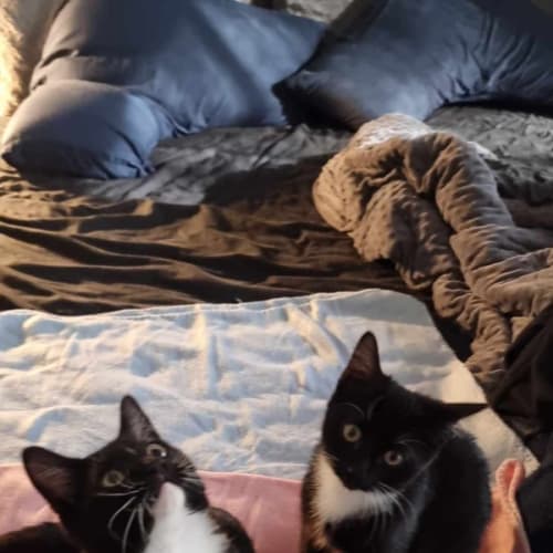 Bonnie & Clyde*Meet at Neko Hq Preston 3rd June*