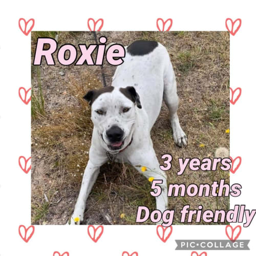 Roxie