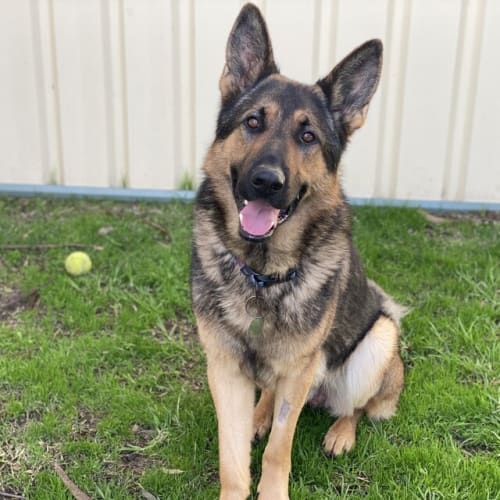 Kaiser