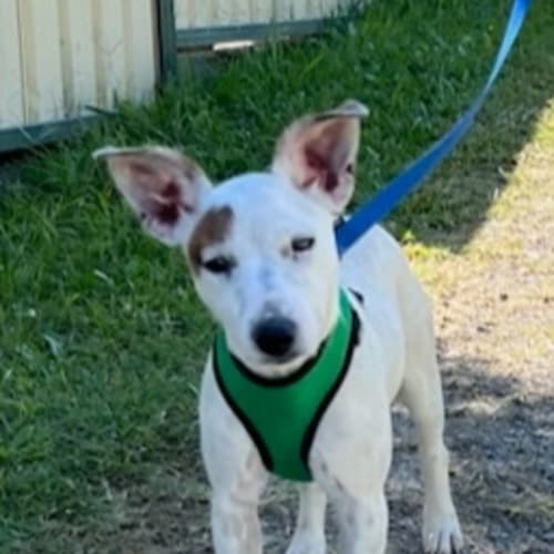 Ciara (Kee-Ra) 🍀💕