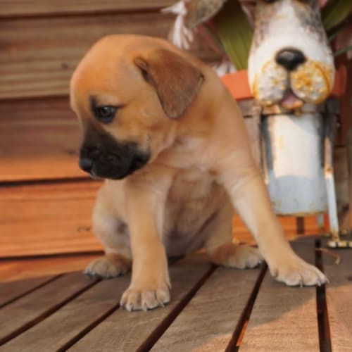 Winnie