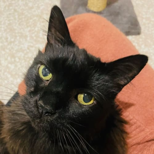 Marley - Located in North Eltham