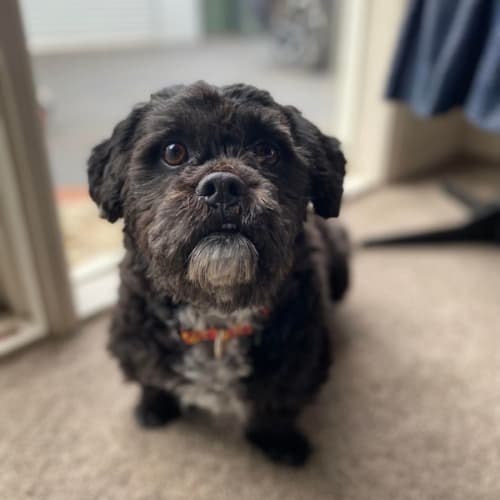 🐻Charlie🐻