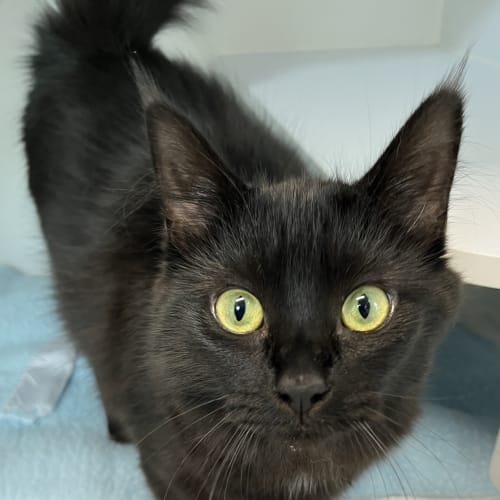 Betty